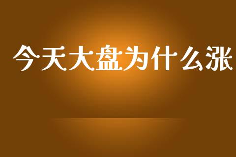 今天大盘为什么涨_https://www.fsyjjx.cn_理财资讯_第1张