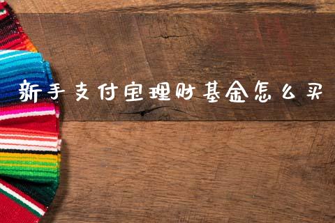 新手支付宝理财基金怎么买_https://www.fsyjjx.cn_问财精选_第1张