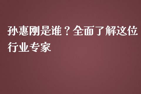 孙惠刚是谁？全面了解这位行业专家_https://www.fsyjjx.cn_股市分析_第1张