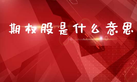 期权股是什么意思_https://www.fsyjjx.cn_期货资讯_第1张