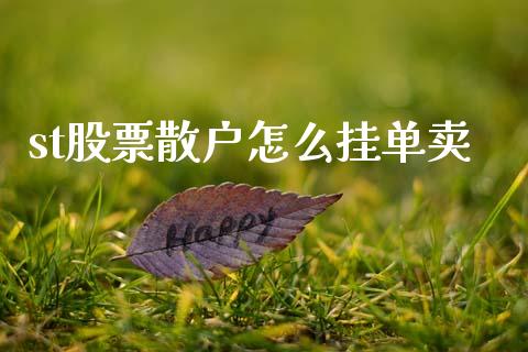 st股票散户怎么挂单卖_https://www.fsyjjx.cn_股票指导_第1张