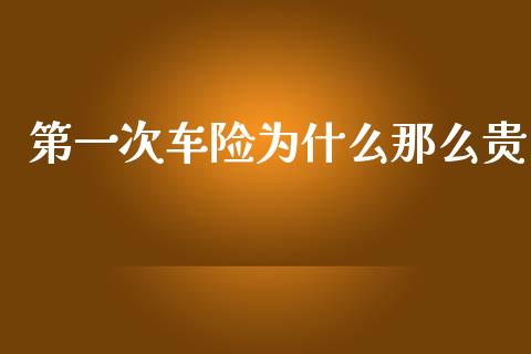 第一次车险为什么那么贵_https://www.fsyjjx.cn_期货资讯_第1张