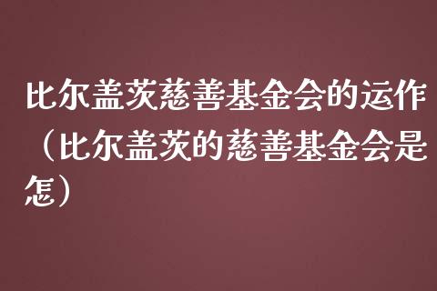 比尔盖茨慈善基金会的运作（比尔盖茨的慈善基金会是怎）_https://www.fsyjjx.cn_问财精选_第1张