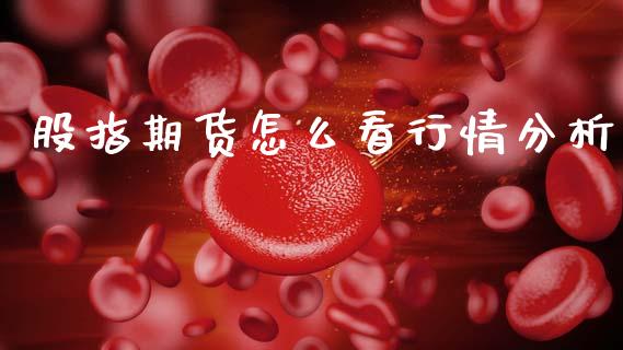 股指期货怎么看行情分析_https://www.fsyjjx.cn_期货资讯_第1张