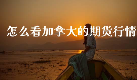 怎么看加拿大的期货行情_https://www.fsyjjx.cn_期货研报_第1张