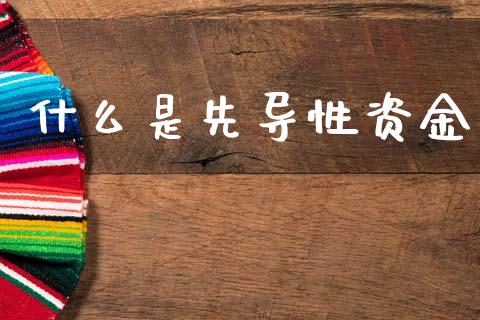 什么是先导性资金_https://www.fsyjjx.cn_股票指导_第1张