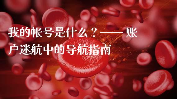 我的帐号是什么？—— 账户迷航中的导航指南_https://www.fsyjjx.cn_理财资讯_第1张