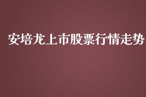 安培龙上市股票行情走势_https://www.fsyjjx.cn_股票指导_第1张