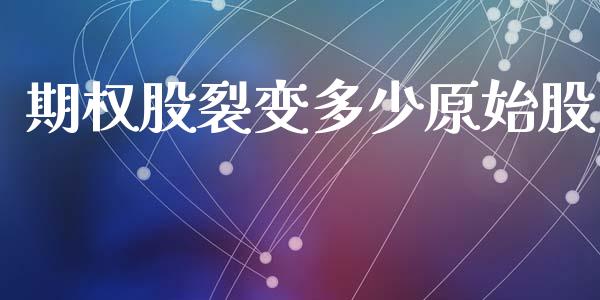 期权股裂变多少原始股_https://www.fsyjjx.cn_期货研报_第1张
