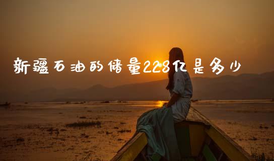 新疆石油的储量228亿是多少_https://www.fsyjjx.cn_期货在线_第1张