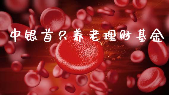 中银首只养老理财基金_https://www.fsyjjx.cn_问财精选_第1张