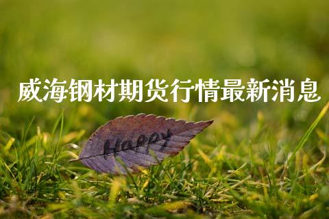 威海钢材期货行情最新消息_https://www.fsyjjx.cn_期货研报_第1张