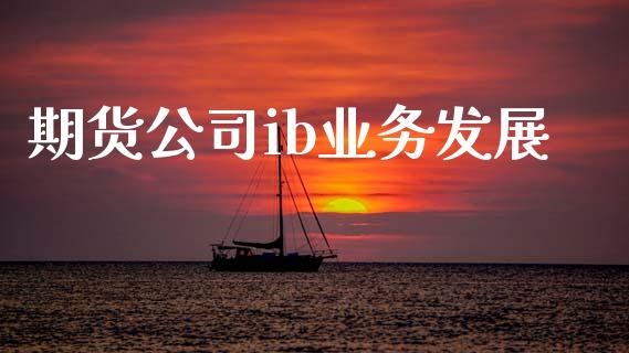 期货公司ib业务发展_https://www.fsyjjx.cn_问财精选_第1张