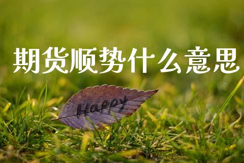 期货顺势什么意思_https://www.fsyjjx.cn_股票指导_第1张