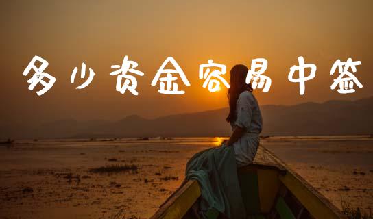 多少资金容易中签_https://www.fsyjjx.cn_股票指导_第1张