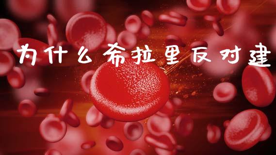 为什么希拉里反对建_https://www.fsyjjx.cn_理财资讯_第1张
