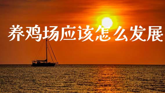 养鸡场应该怎么发展_https://www.fsyjjx.cn_期货研报_第1张