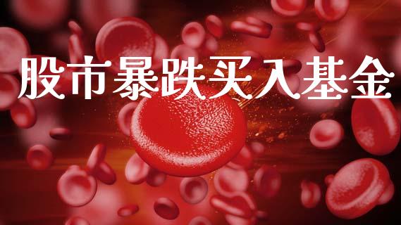 股市暴跌买入基金_https://www.fsyjjx.cn_理财资讯_第1张
