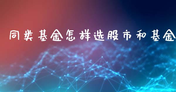 同类基金怎样选股市和基金_https://www.fsyjjx.cn_理财资讯_第1张