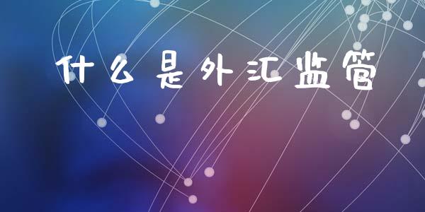 什么是外汇监管_https://www.fsyjjx.cn_股市分析_第1张