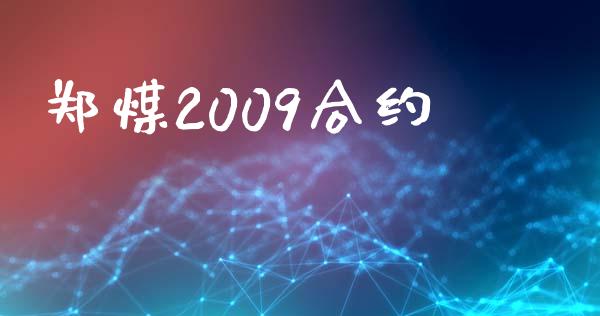 郑煤2009合约_https://www.fsyjjx.cn_问财精选_第1张