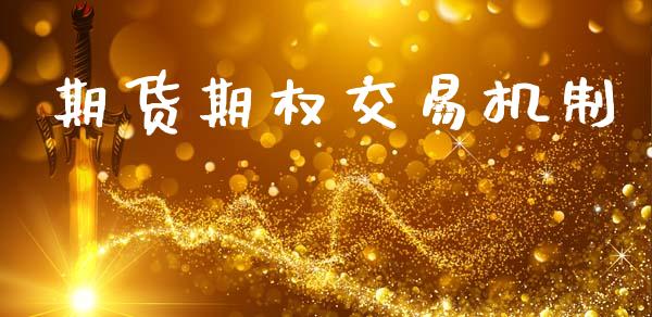 期货期权交易机制_https://www.fsyjjx.cn_期货研报_第1张