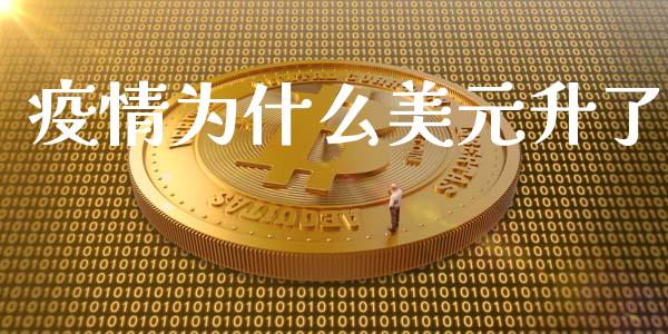 疫情为什么美元升了_https://www.fsyjjx.cn_理财资讯_第1张