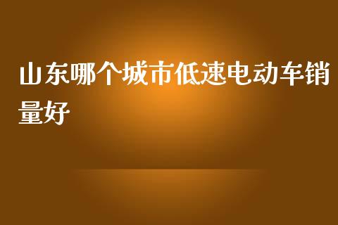 山东哪个城市低速电动车销量好_https://www.fsyjjx.cn_理财资讯_第1张