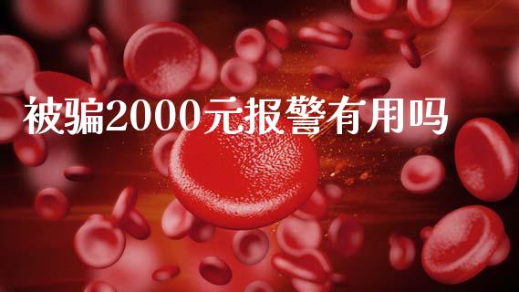 被骗2000元报警有用吗_https://www.fsyjjx.cn_期货研报_第1张