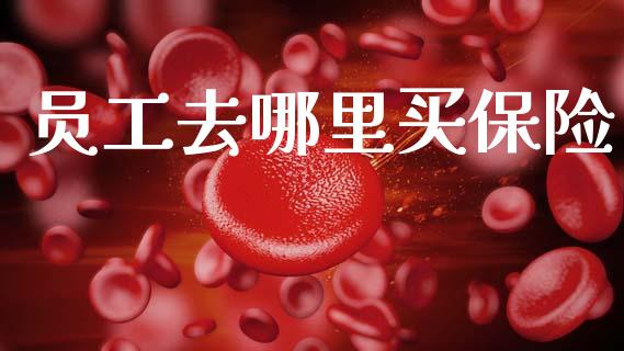 员工去哪里买保险_https://www.fsyjjx.cn_期货研报_第1张