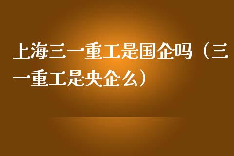 上海三一重工是国企吗（三一重工是央企么）_https://www.fsyjjx.cn_股票指导_第1张