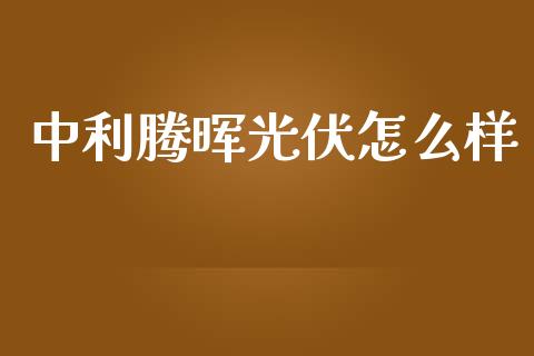中利腾晖光伏怎么样_https://www.fsyjjx.cn_期货研报_第1张