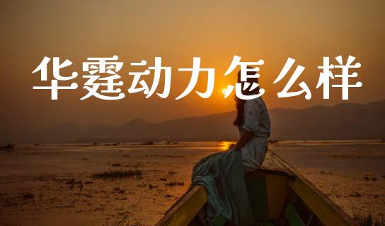 华霆动力怎么样_https://www.fsyjjx.cn_问财精选_第1张