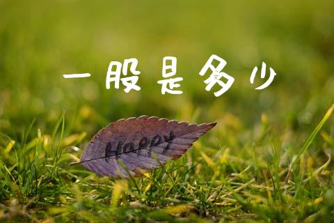 一股是多少_https://www.fsyjjx.cn_股票指导_第1张