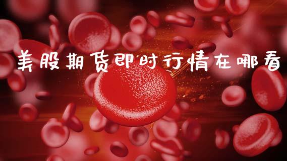 美股期货即时行情在哪看_https://www.fsyjjx.cn_期货研报_第1张