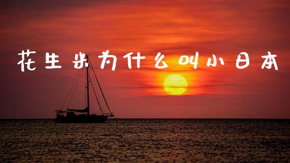 花生米为什么叫小日本_https://www.fsyjjx.cn_问财精选_第1张