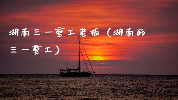 湖南三一重工老板（湖南的三一重工）_https://www.fsyjjx.cn_股市分析_第1张