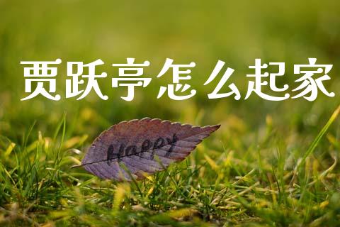 贾跃亭怎么起家_https://www.fsyjjx.cn_股市分析_第1张