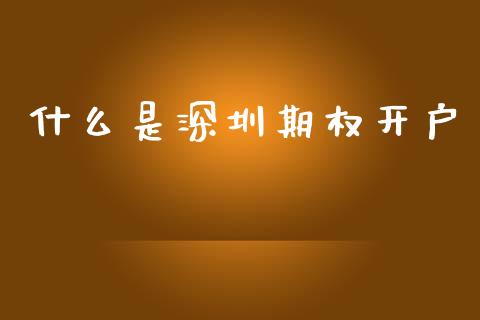 什么是深圳期权开户_https://www.fsyjjx.cn_股指期货_第1张
