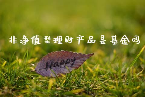 非净值型理财产品是基金吗_https://www.fsyjjx.cn_理财资讯_第1张