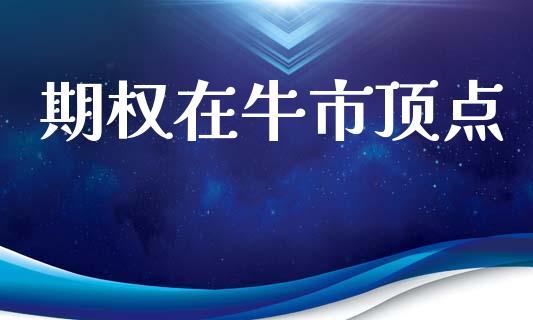 期权在牛市顶点_https://www.fsyjjx.cn_期货研报_第1张