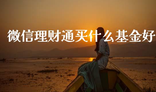 微信理财通买什么基金好_https://www.fsyjjx.cn_问财精选_第1张