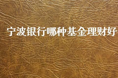 宁波银行哪种基金理财好_https://www.fsyjjx.cn_问财精选_第1张
