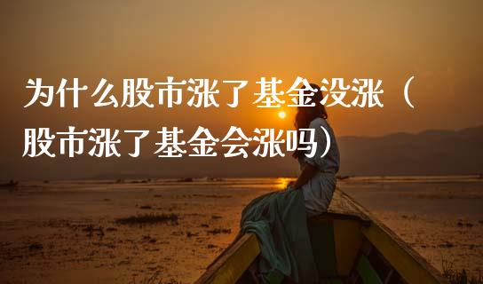 为什么股市涨了基金没涨（股市涨了基金会涨吗）_https://www.fsyjjx.cn_问财精选_第1张