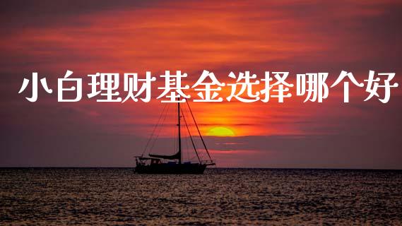 小白理财基金选择哪个好_https://www.fsyjjx.cn_问财精选_第1张