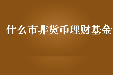什么市非货币理财基金_https://www.fsyjjx.cn_问财精选_第1张