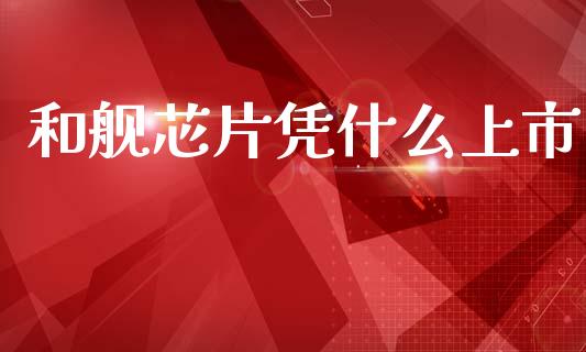 和舰芯片凭什么上市_https://www.fsyjjx.cn_问财精选_第1张