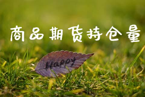 商品期货持仓量_https://www.fsyjjx.cn_股指期货_第1张