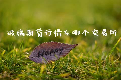 玻璃期货行情在哪个交易所_https://www.fsyjjx.cn_期货资讯_第1张