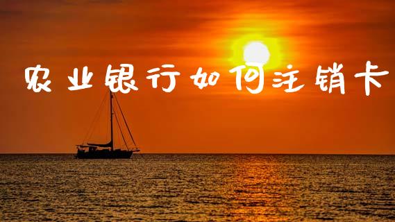 农业银行如何注销卡_https://www.fsyjjx.cn_股市分析_第1张